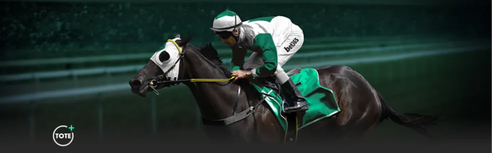 年卡塔尔世,界杯场馆介,乐鱼体育,乐鱼体育,LeYu,Sports,乐鱼体育官网,乐鱼体育官网,乐鱼体育下载,乐鱼体育APP