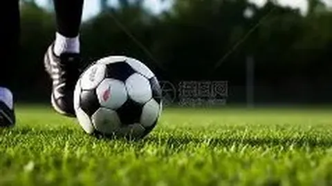 乐鱼体育 资讯 172606 drc