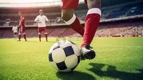 乐鱼体育 资讯 172718 rgc