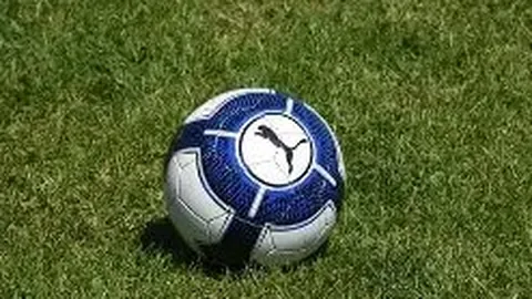 乐鱼体育 资讯 172710 zly