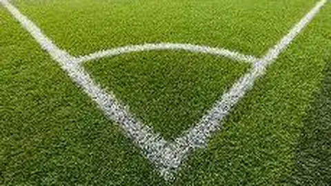 乐鱼体育 资讯 083207 o1t