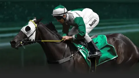 2025年卡塔尔世界杯场馆介绍